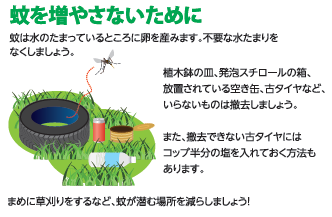 蚊を増やさないために