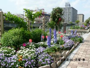 城東区はなびとコスモスタッフの会の写真その1