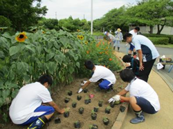 職業（園芸）、「生活」の授業の様子