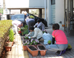 種から育てる地域の花づくり