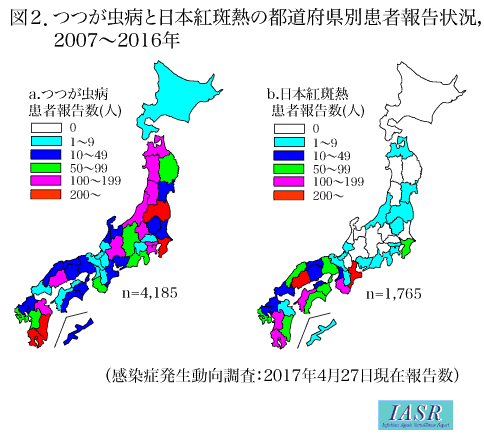 つつがむし、日本紅斑熱