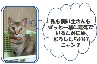 飼い主さんと元気でいるためにどうしたらいいにゃん