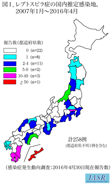 レプトスピラ2