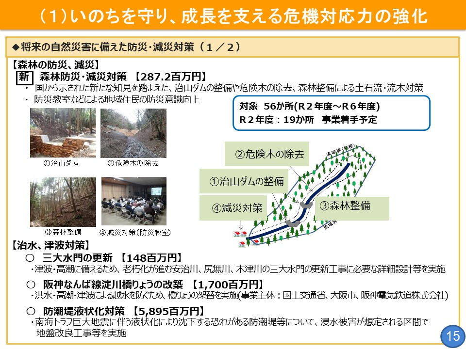 フリップ15　将来の自然災害に備えた防災・減殺対策について