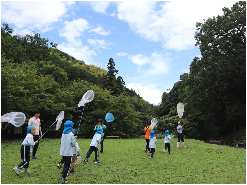 こもれびの森01