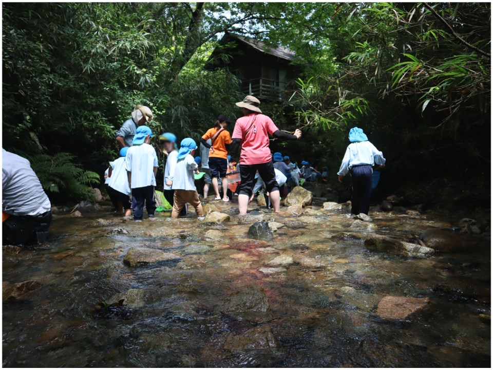 こもれびの森02
