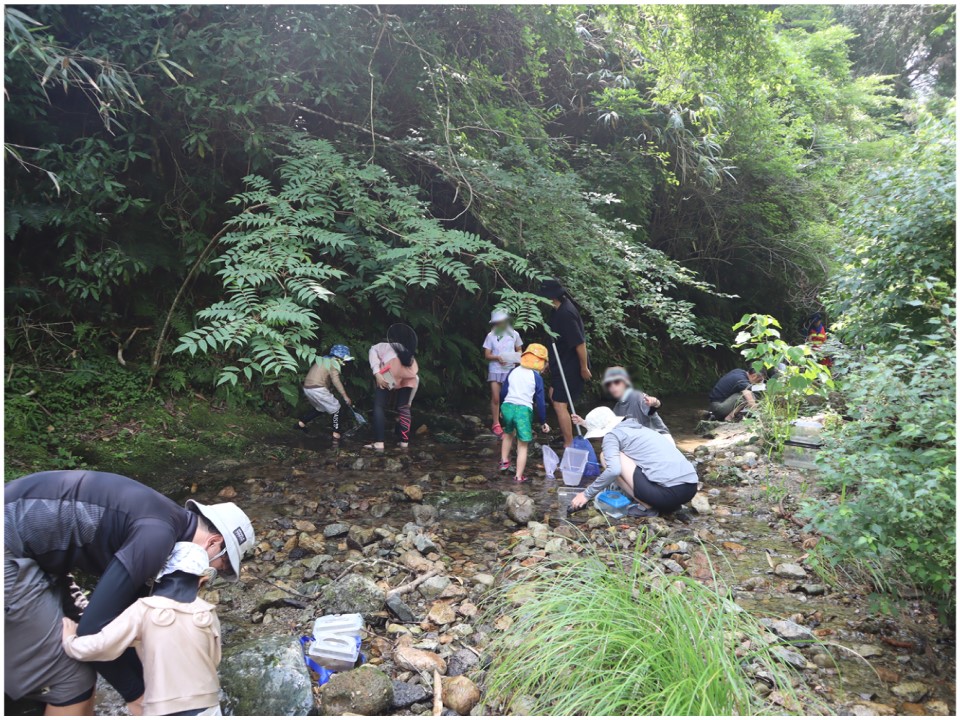 私の水辺槇尾01