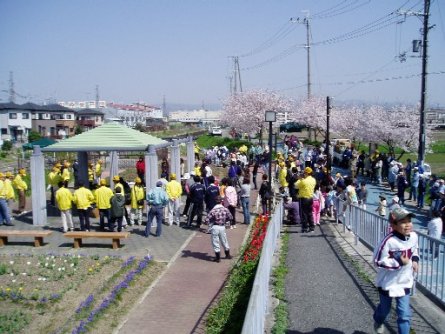 水辺の保全活動写真