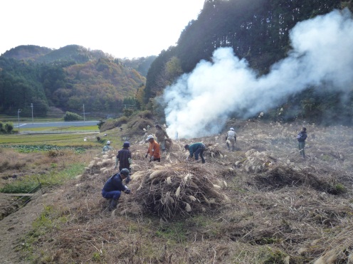 遊休農地の再生活動の様子