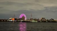 【写真】天保山の夜間景観を視察