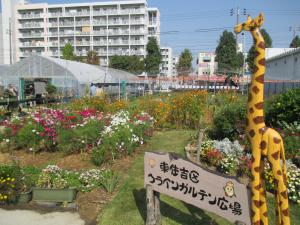 東住吉区クラインガルテン広場の写真（全景）