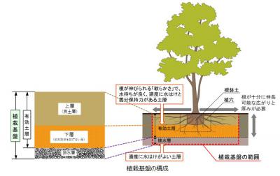 植栽基盤の構成の図