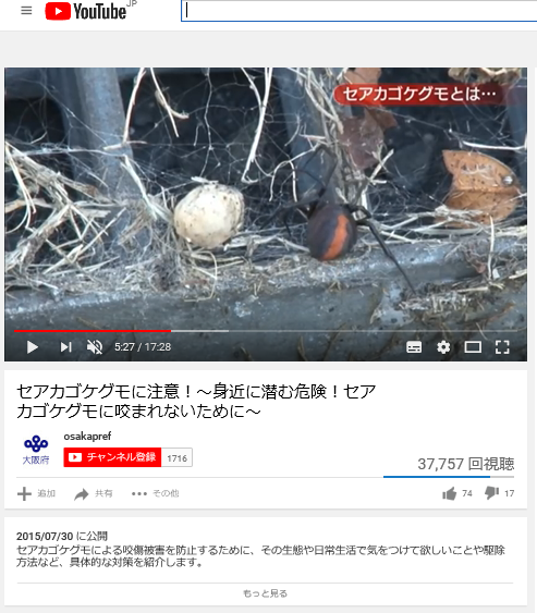 YouTube動画の画像