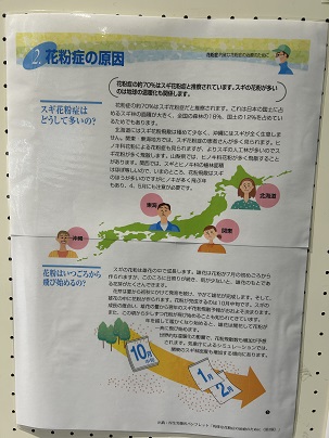 【写真】花粉症の原因