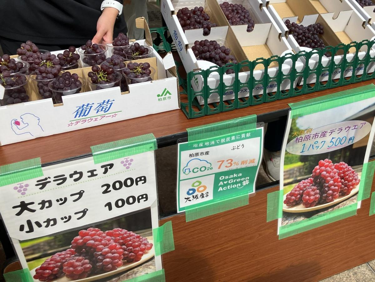 セレッソ大阪イベント写真