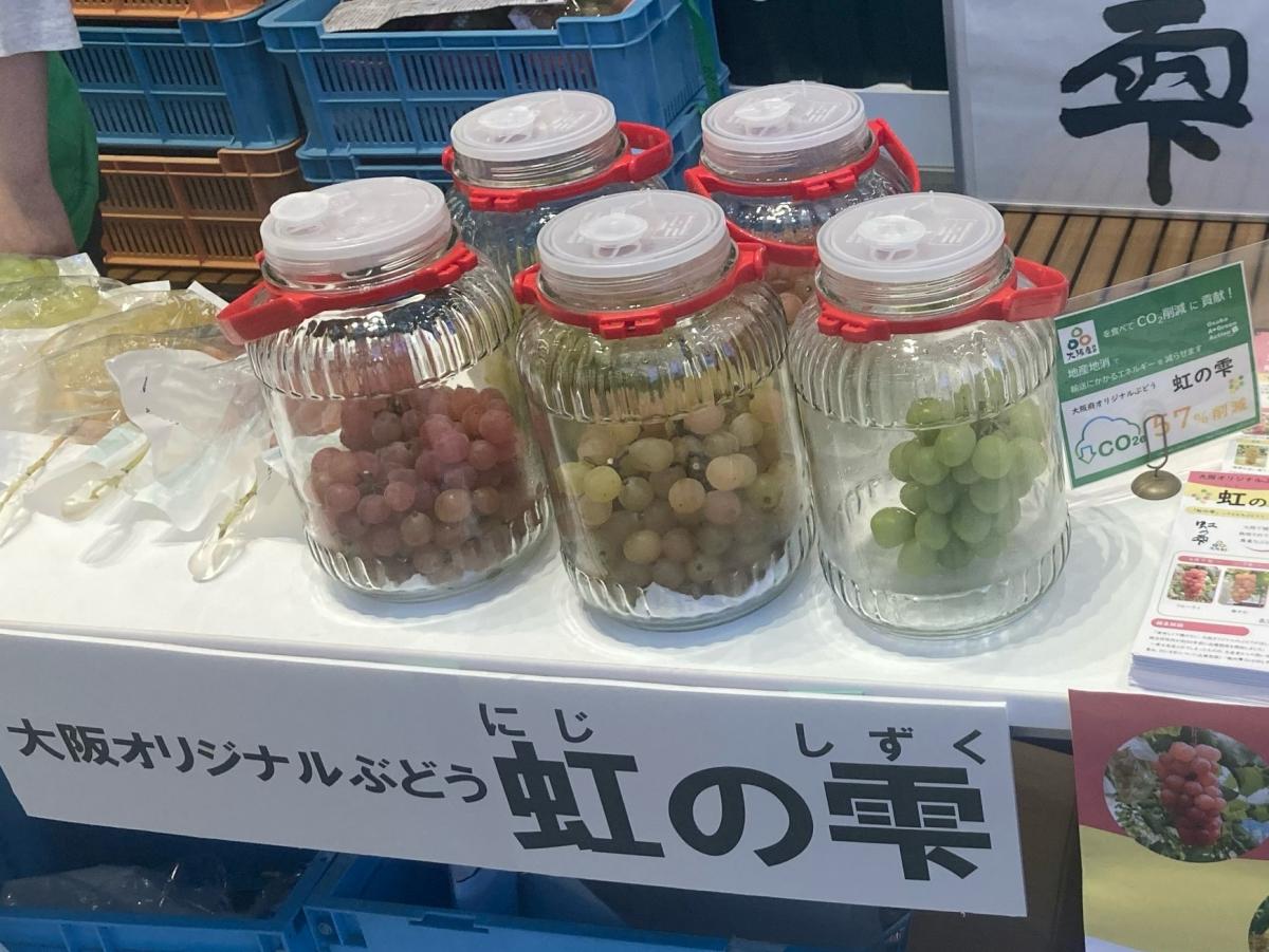 ぶどうエキスポ写真