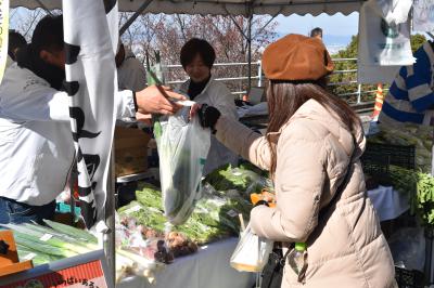 画像：大阪産（もん）販売1