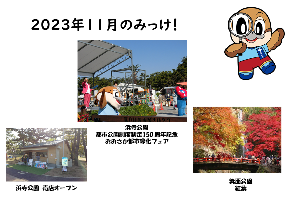 2023年11月のみっけ！