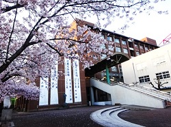 校舎と桜の写真