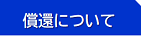 償還についてのページ（現在のページ）