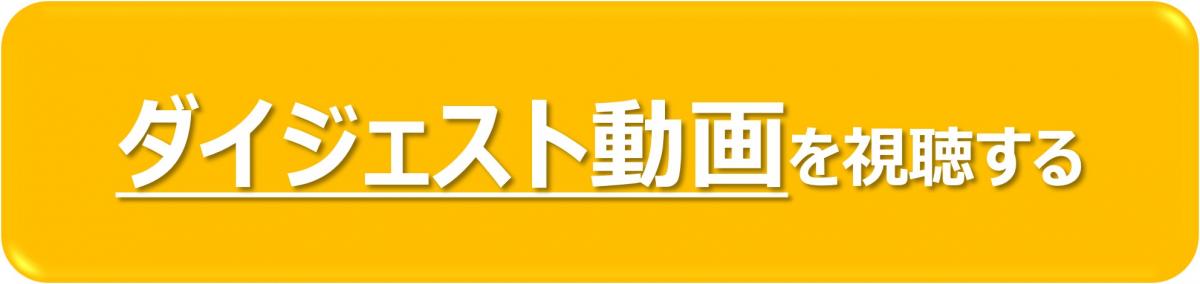ダイジェスト動画