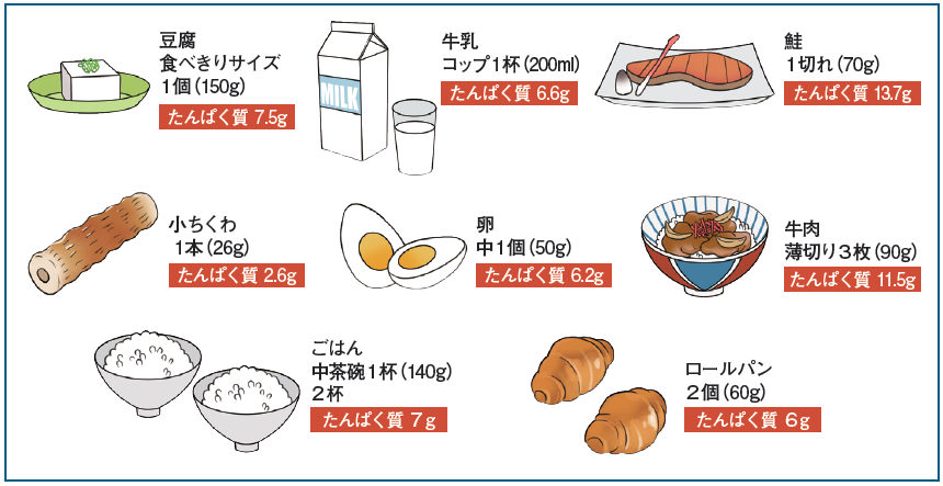 必要なたんぱく質の目安