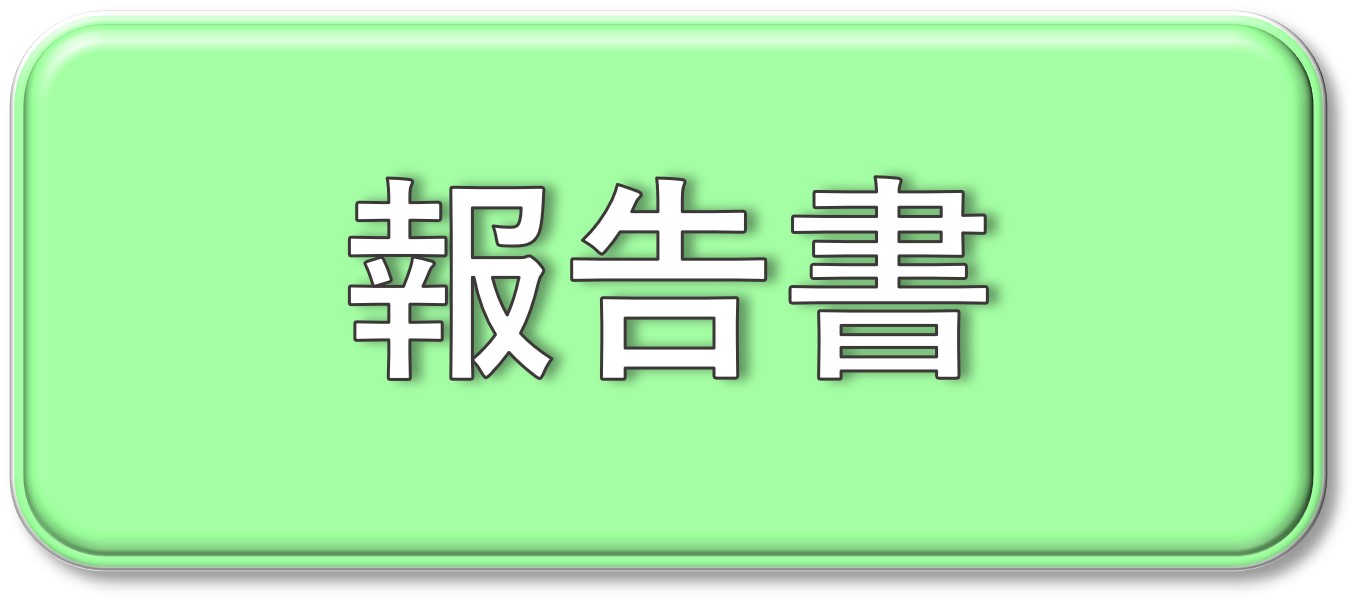 報告書の提出