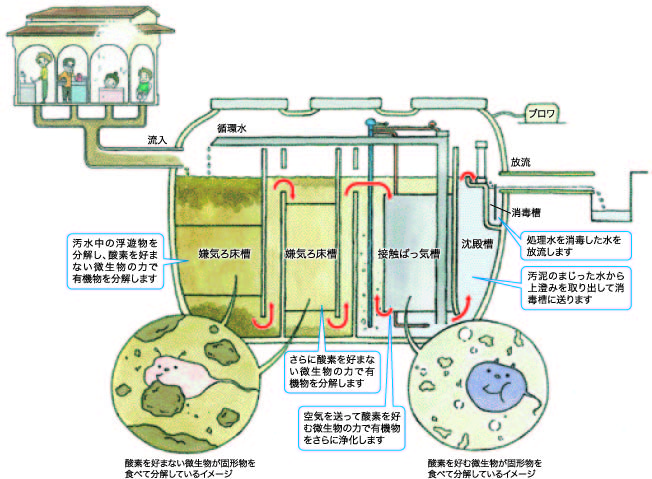 合併処理浄化槽の構造
