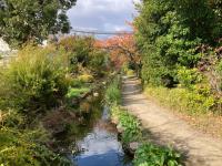 画像です。新豊島川親水水路2