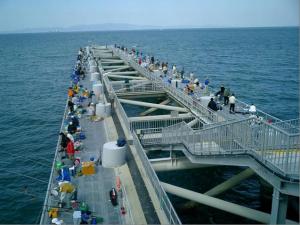 岬町海釣り公園とっとパーク小島の様子