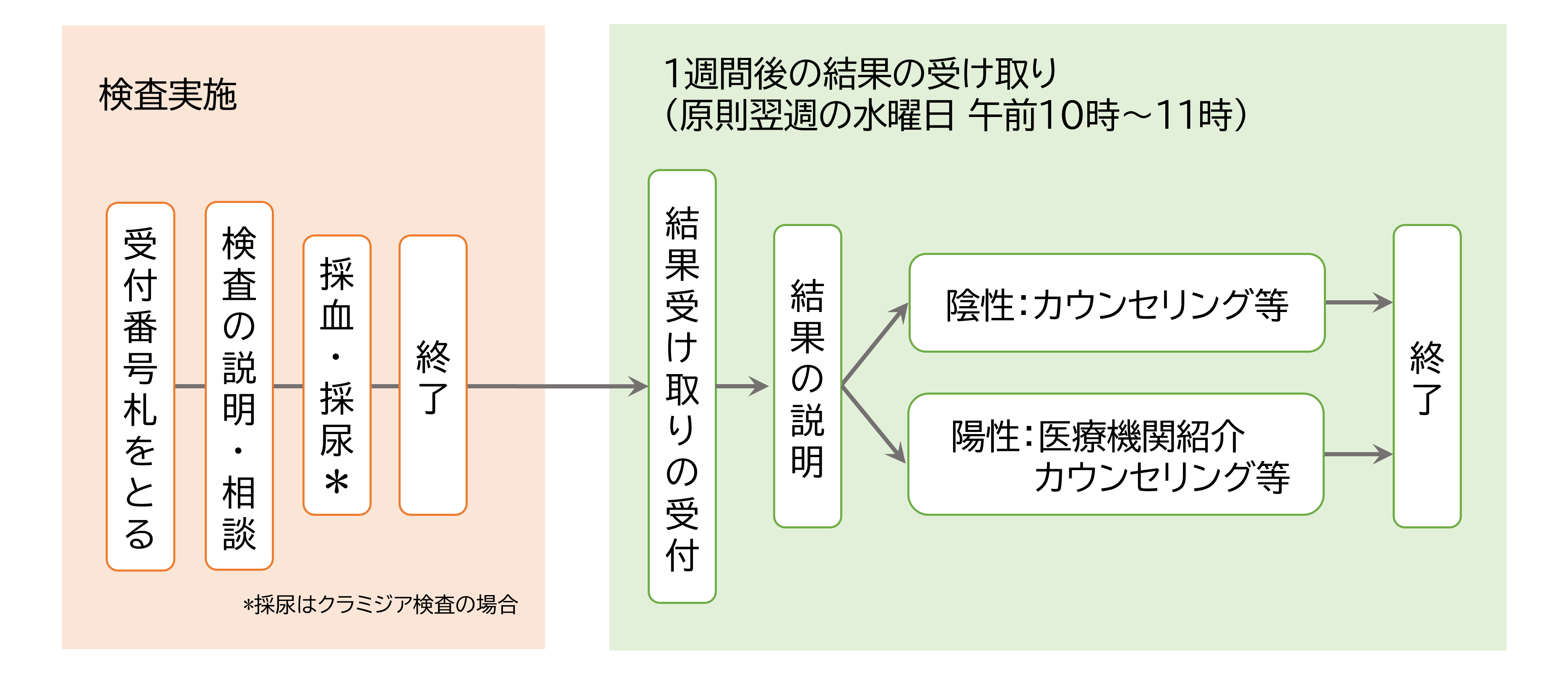 検査の流れを示したイラストです。検査実施の日は、「受付番号をとる」、「検査の説明・相談」、「採血・採尿（採尿はクラミジア検査の場合）」の順に行います。1週間後、原則翌週の水曜日午前10時から11時までに検査結果の受け取りができます。「結果受け取りの受け付け」のあと、「結果の説明」を行います。陰性の場合はカウンセリング等を行い、陽性の場合は医療機関の紹介やカウンセリング等を行います。