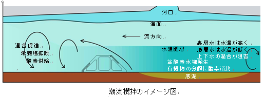 湧昇・攪拌流を発生させるブロック礁の図