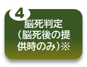 脳死判定（脳死後の提供時のみ）