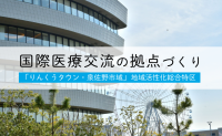 国際医療交流の拠点づくり「りんくうタウン・泉佐野市域」地域活性化総合特区のページへのバナー