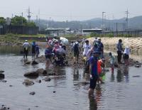 自然海浜生き物観察