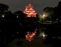 大阪城天守閣オレンジライトアップの写真