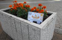 東大阪市庁舎オレンジガーデニングの写真