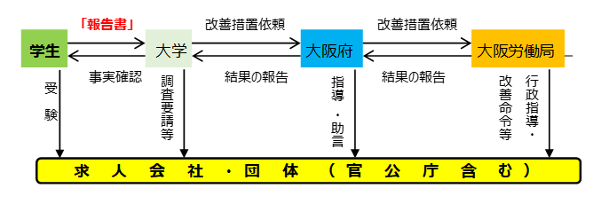 報告書の流れ