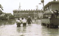 写真；大東市役所の浸水被害の様子。膝丈ぐらいまで水が溢れています。