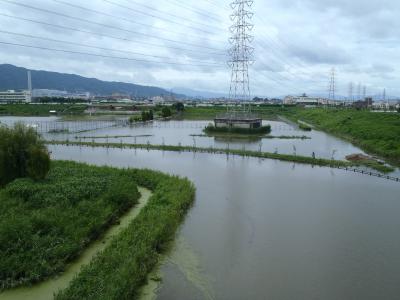 恩智川治水緑地での貯留の様子