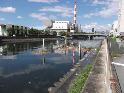 浮遊ごみが集まった網場（アバ）の写真