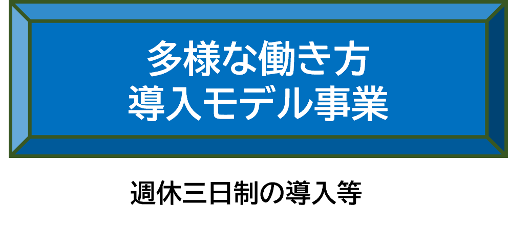 多様な働き方導入モデル事業