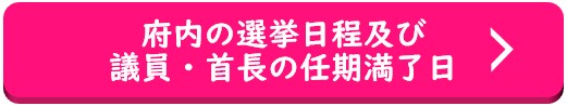 府内の選挙日程及び議員・首長の任期満了日