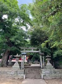 近鉄電車の線路を眺める澤田八幡神社のページへのリンク画像