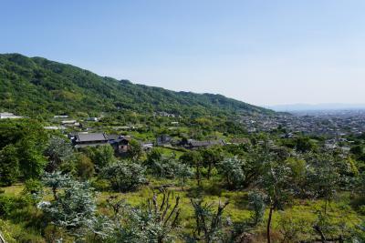 神立地域の里山を眺める村中の道の写真