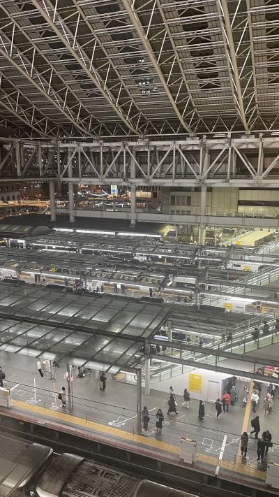 LUCUAから眺めるJR大阪駅ホームの写真