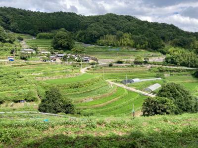 銭原の棚田と里山風景を眺める阪急バス車川庄バス停付近の写真