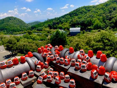 勝ちダルマと大自然を眺める勝尾寺の写真