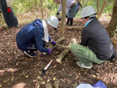 伐採木で階段の材料を加工している様子の画像