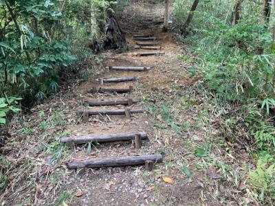 出来上がった階段の画像